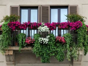 Balaustre dei balconi. La spesa per gli elementi decorativi come deve essere ripartita?