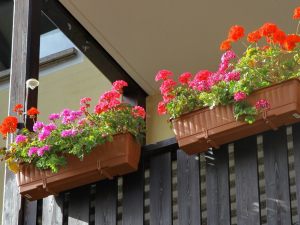 Posso mettere una fioriera sul balcone?