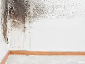 Umidità “capillare” nelle pareti. È possibile eliminarla sfruttando il Superbonus?