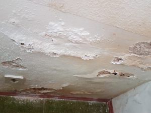 Umidità da risalita in un appartamento: il condominio condannato a fare un vespaio al condomino